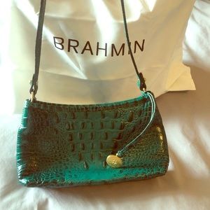 Brahmin anytime mini